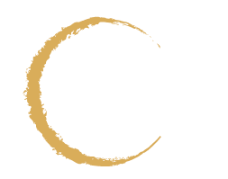 logo-salitre